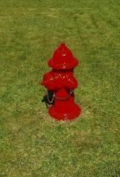 Feuerwehr Hydrant, USA, Amerika, 100% original,  absolut selten! Schleswig-Holstein - Ellingstedt Vorschau