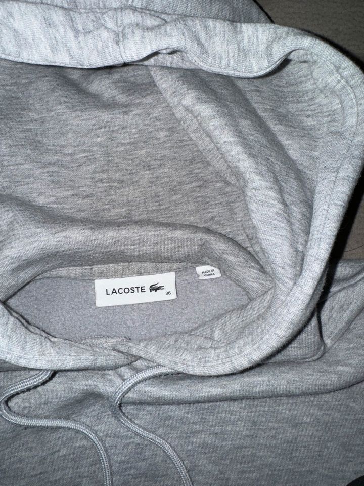 Lacoste x Disney Hoodie lang, grau, Gr 36 in Wolfratshausen