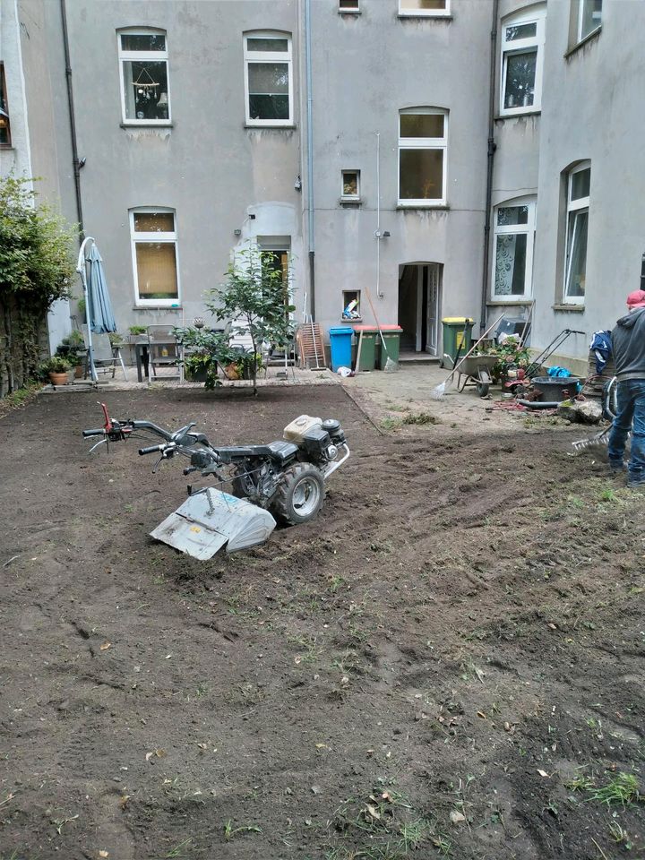 Rollrasen Gartenarbeit Gärtner Heckenschneiden umgraben fräsen in Essen