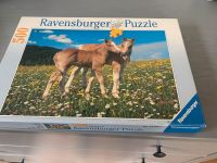 Puzzle Haflingerfohlen Niedersachsen - Salzgitter Vorschau