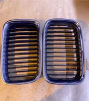 BMW E36 Kühlergitter Frontgrill 3 Series E36 92-96 Sachsen - Pesterwitz Vorschau