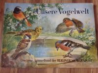 Vintage UNSERE VOGELWELT Sammelband derBERLINER MORGENPOT. Baden-Württemberg - Titisee-Neustadt Vorschau