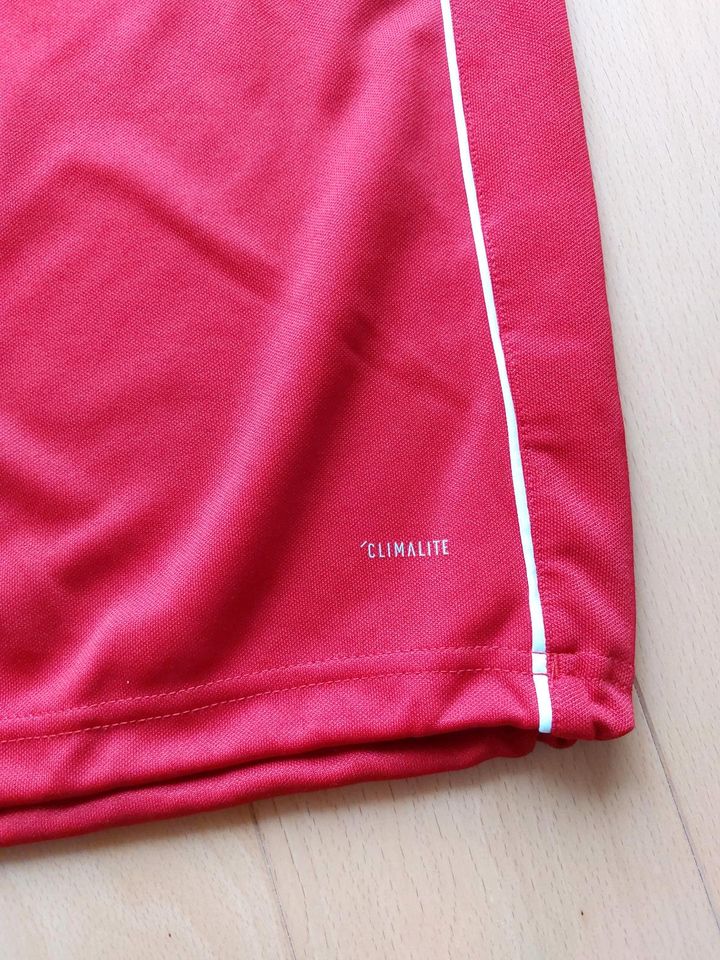 ADIDAS Climalite Sweatshirt rot ca 2XL XXL super Zustand in Lippstadt