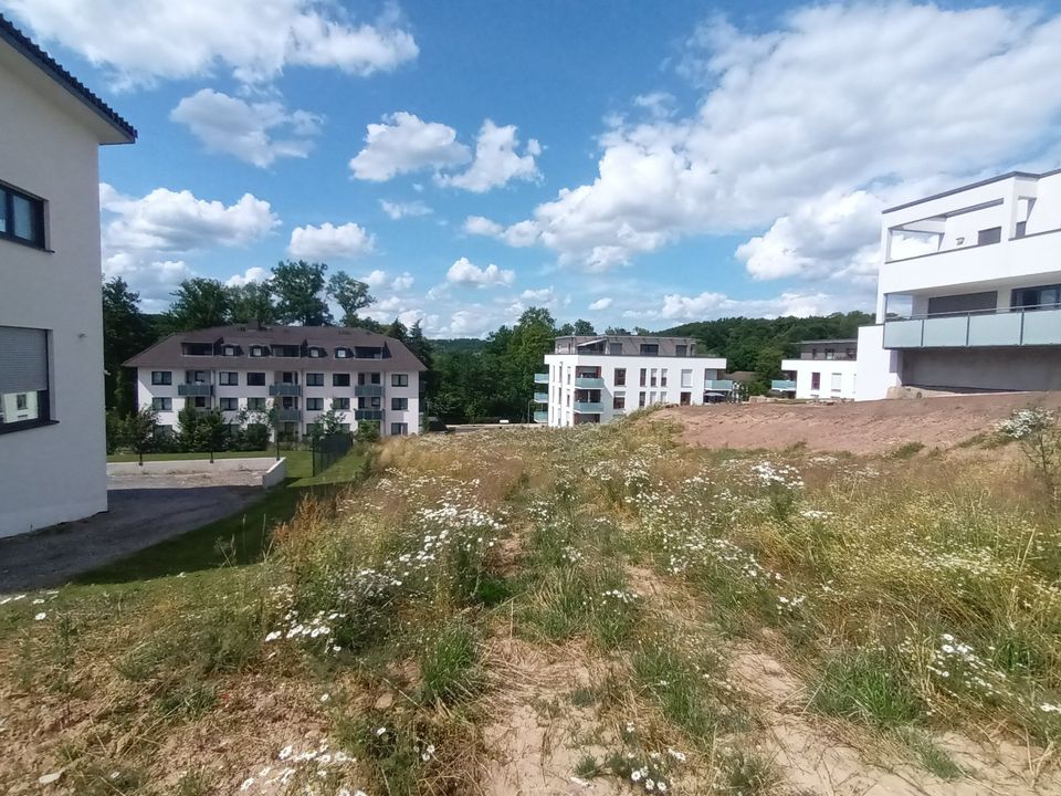 Traumhaus mit Einliegerwohnung in Bad Driburg