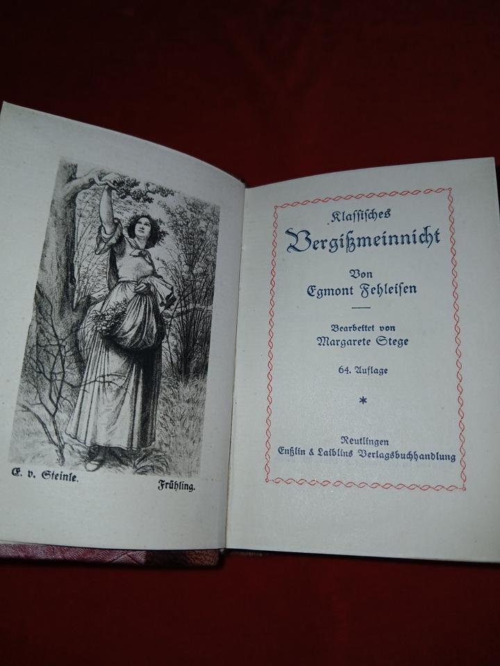 Klassisches Vergissmeinnicht, Leder gebunden mit Goldseiten in Wehr