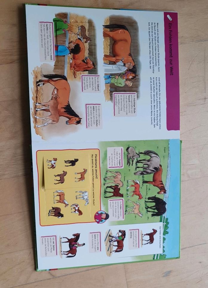 Buch "Pferde und Ponys" Mitmachbuch mit Klappen in Lauben