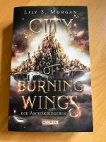 Buch City of Burning Wings von Lily S. Morgan Booktok Niedersachsen - Reeßum Vorschau