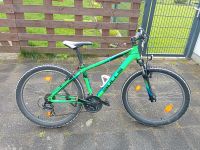 Bulls Pulsar Eco 26 Zoll Mountainbike Hessen - Pfungstadt Vorschau