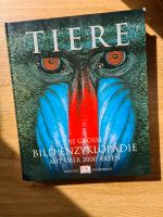 Buch TIERE BILD-ENZYKLOPÄDIEN, über 2,000 Arten Nürnberg (Mittelfr) - Oststadt Vorschau