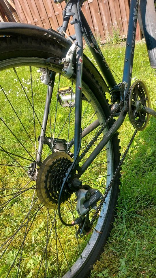 MTB CycleWolf Blackfoot 26er Shimano Ausstattung in Waldbröl