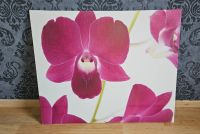 Leinwand auf Keilrahmem * Orchidee * 90 x 75 cm * gebraucht Leipzig - Eutritzsch Vorschau