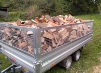 Brennholz Kaminholz 25cm Buche trocken Hessen - Otzberg Vorschau