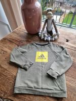 Adidas Pulli Farbe grün / olive gr 86/92 kuschelig Münster (Westfalen) - Centrum Vorschau