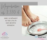 Magenballon ab 2.330 € Baden-Württemberg - Birenbach Vorschau