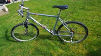 Fahrrad Jugendrad Mountainbike Wheeler 1900ZX 21" 53 cm Hessen - Burghaun Vorschau