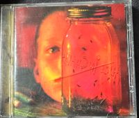 Alice in Chains Jar of Flies CD Niedersachsen - Damme Vorschau