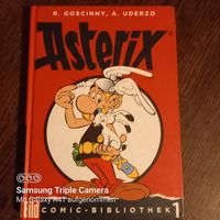 BUCH : R.GOSCINNY ,A.UDERZO Rheinland-Pfalz - Longuich Vorschau