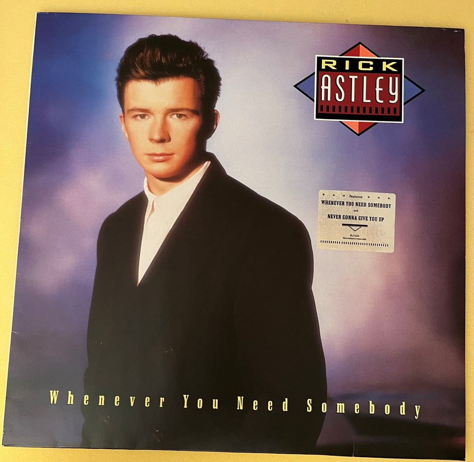 LP - Rick Astley - Whenever You Need Somebody 1987 in Schwarzenbach a d Saale