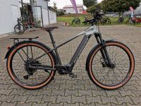 Mondraker Prime X / verfügbare Größen: M, L und XL Nordrhein-Westfalen - Borchen Vorschau