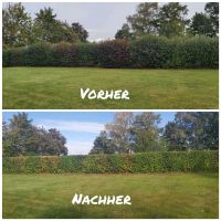 Gartenpflege Hecke schneiden Strauchschnitt Rasen Unkraut Sachsen - Markranstädt Vorschau