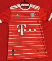 Ein Trikot in Größe 176 Bayern - Wittislingen Vorschau