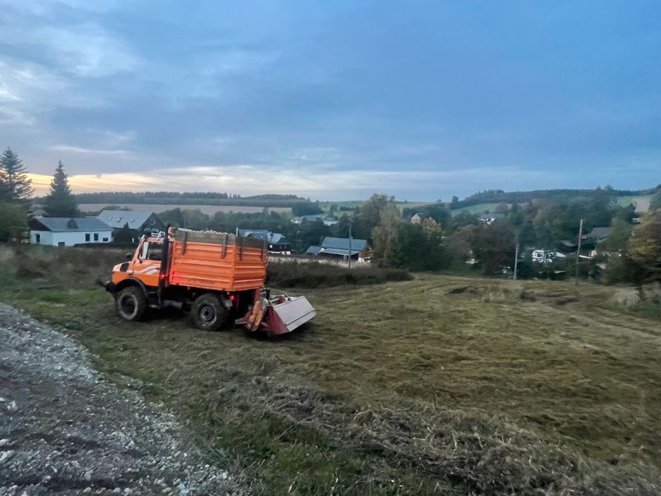 Mäharbeiten Mulcharbeiten Mulchen Grünland mit Unimog in Markneukirchen