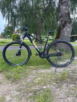 Cube Access Damen Mountainbike Größe S Bayern - Taufkirchen Vils Vorschau