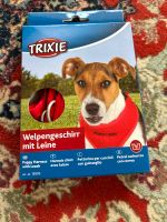 Trixie welpengeschirr mit Leine rot NEU Berlin - Pankow Vorschau