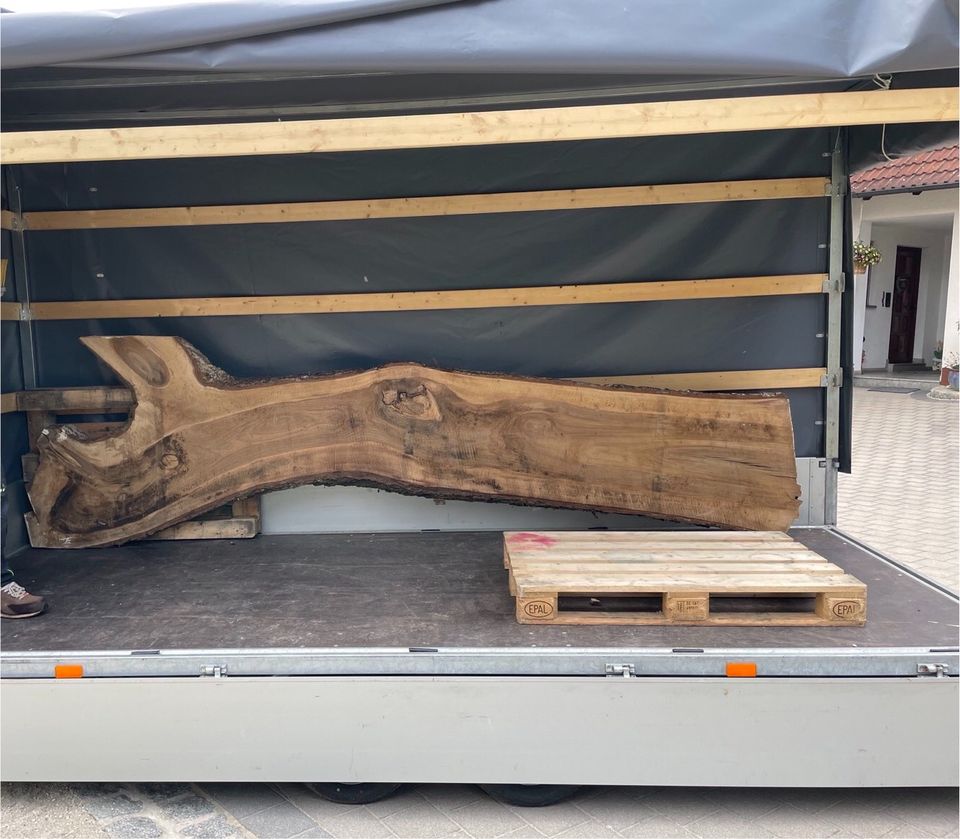 Nussbaum XXL Bohle Monolith Eiche Unikate Holz ☘️❤️ Groß in Pottenstein