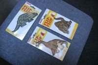 #3-er Set Applikation, #Dino, #Neu, #Gold-Zack Bayern - Pfaffenhofen a.d. Ilm Vorschau