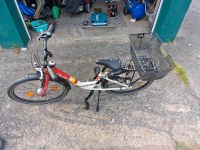 Falter Kinderfahrrad  24 zoll Schleswig-Holstein - Horst (Holstein) Vorschau