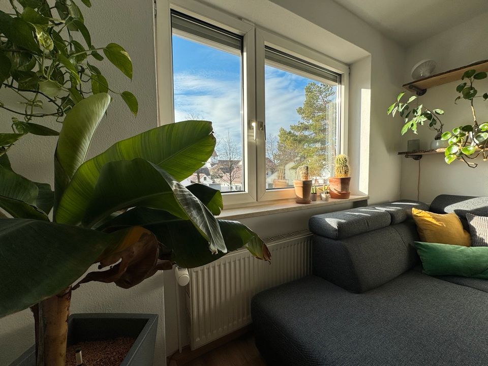 Renovierte 2 Zimmer Wohnung mit großer Küche und guter Anbindung in München