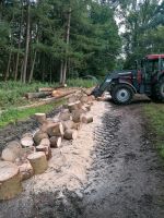 Kaminholz Brennholz Feuerholz Niedersachsen - Lübberstedt Vorschau