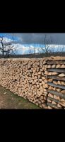 Brennholz Buche Ofen Kamin Hartholz Laubholz Stammholz Baden-Württemberg - Aichwald Vorschau