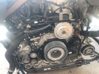 Motor Audi A6 A7 Q8 Q7 3.0 TDI bj2023 DPX DPY 286PS komplett Sachsen - Torgau Vorschau