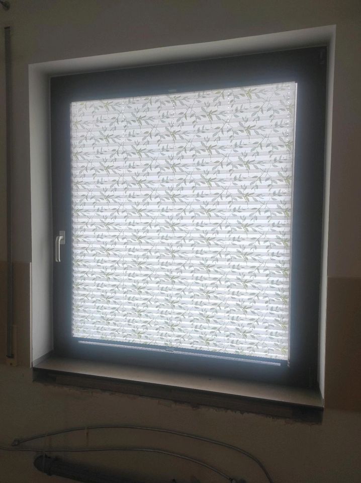 Plissee Rollo für Fenster 100 x 115 cm in Weinböhla