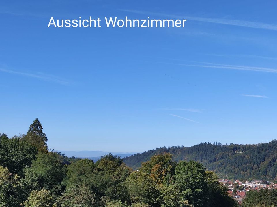 Sonnige modernisierte 3 -Zimmer (124 qm) mit großer Terrasse und herrlichem Ausblick! in Waldkirch