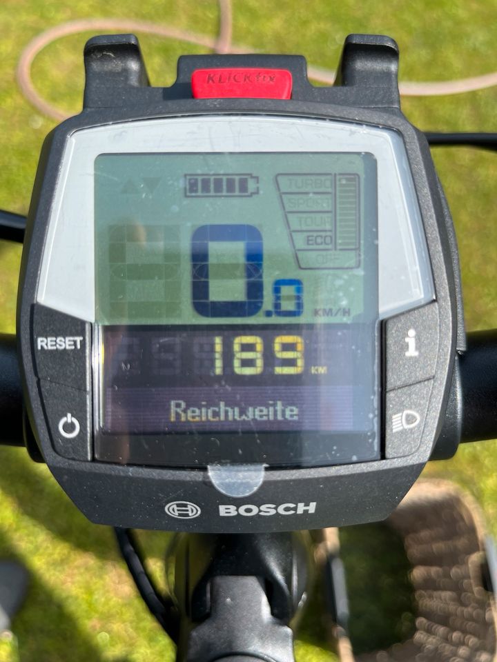 E-Bike Pedelec Damen, Flyer Gotour 2020 in Nürnberg (Mittelfr)