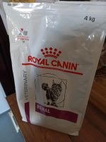 Royal Canin Vet, Katzen Renal Trockenfutter / angefangen Sachsen-Anhalt - Lutherstadt Wittenberg Vorschau