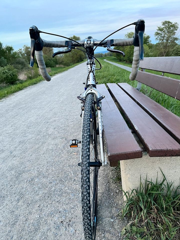 Gravelbike Stevens Cyclocross RH54 in Mannheim