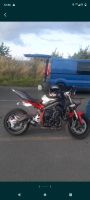 Triumph street triple 675r stunt BJ 12- Hessen - Karben Vorschau