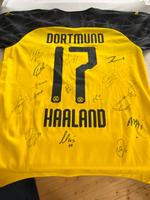 Siegniertes BVB CL Trikot 19/20 Hessen - Kassel Vorschau