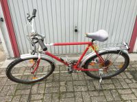 Herrenfahrrad Mountainbike für Herren 26‘‘ Niedersachsen - Butjadingen Vorschau