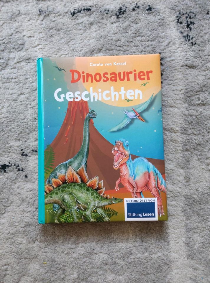 Dinosaurier Geschichten, Lesebuch, Kinderbuch, Dinobuch, Buch in Ering