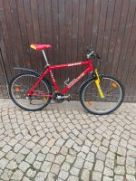 Fahrrad/ Citybike/ Bierfliege Thüringen - Saale-Holzland-Kreis Vorschau