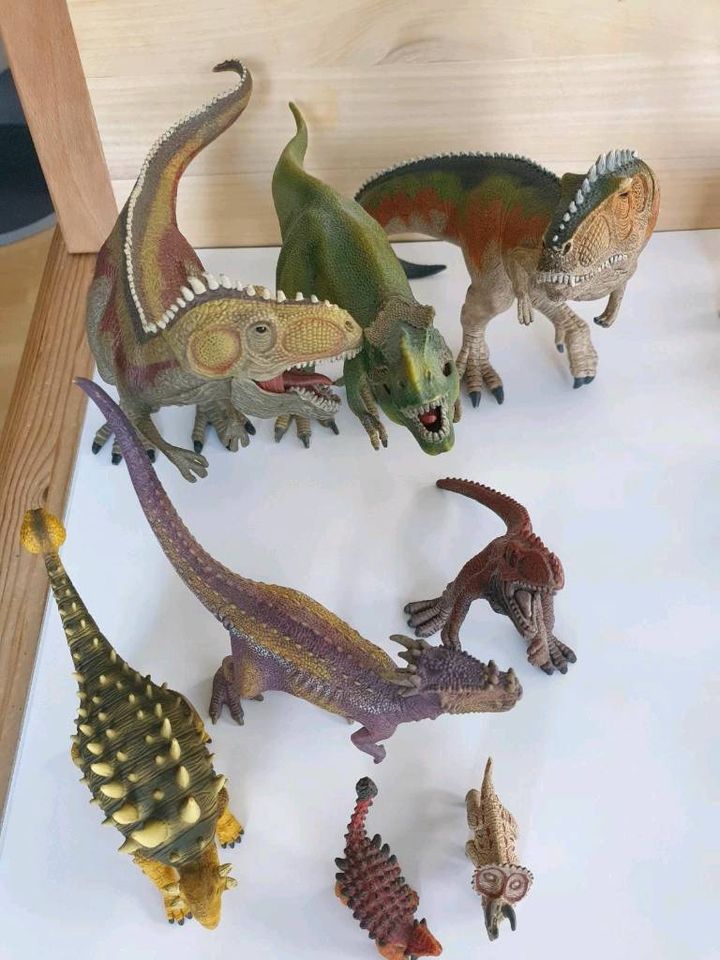 Dinosaurer Sammlung riesig: Schleich, Tiptoi, Playmobil + Vulkan in Waltenhofen