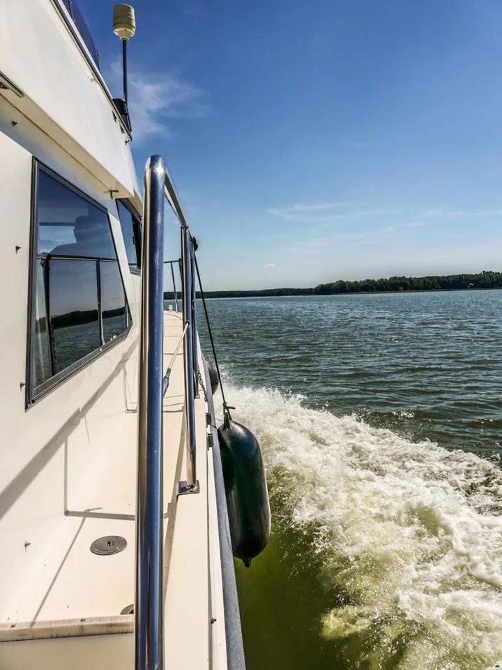 Motorboot  Motoryacht Neptunus Sedan 138 in Lübbecke 