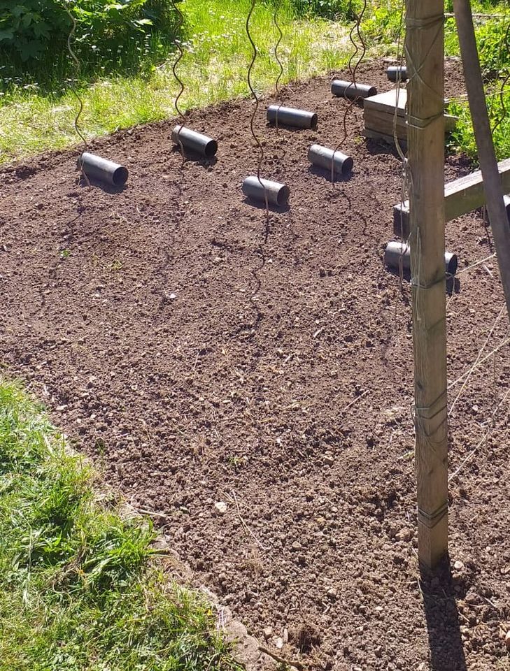 Pflanzarbeiten Trittplattenverlegung [ Garten ] in Jena