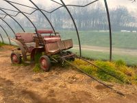 Kutsche Anhänger Wagen Niedersachsen - Bassum Vorschau