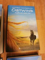 Buch Ostwind Aufbruch nach Ora Hessen - Gründau Vorschau